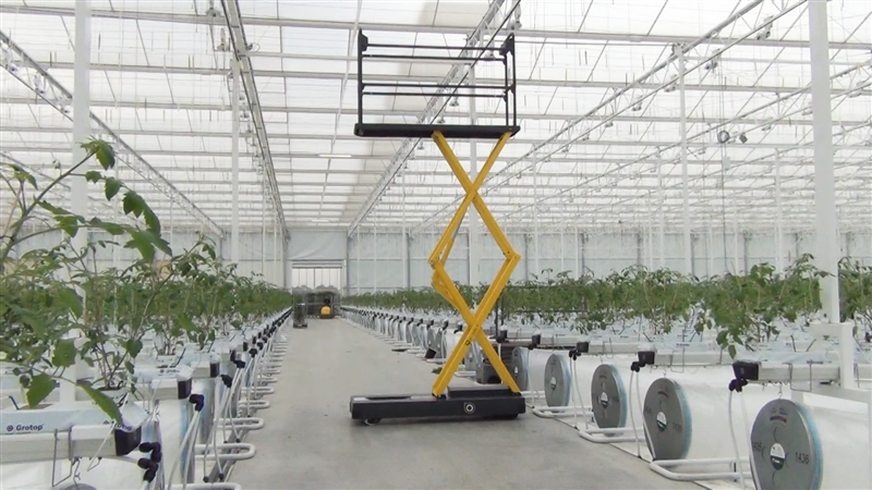 Computer climatici per serre Verona